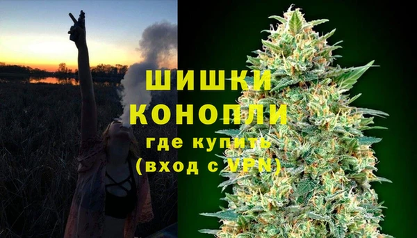 Альфа ПВП Белокуриха