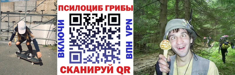 Псилоцибиновые грибы Psilocybe Облучье